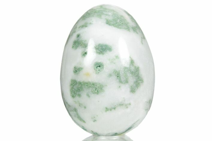 Polished Tree Agate Egg - India #356349